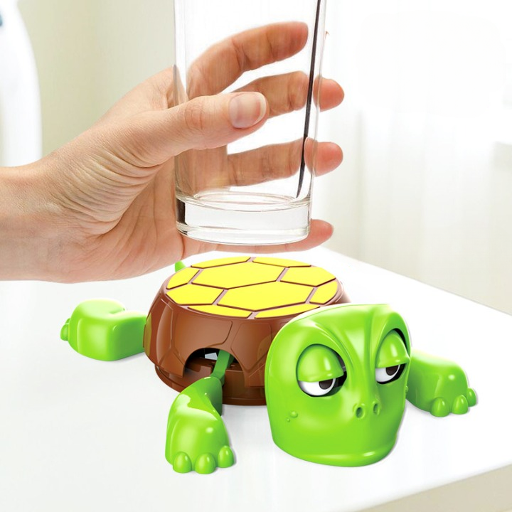Turtle Coaster