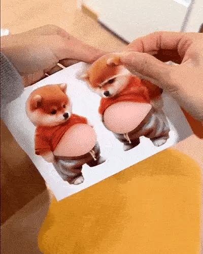 Why 50,000+ People Use This Chubby Dog Sticker on everything