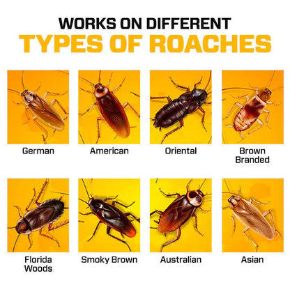 Natural Cockroach Killer Gel